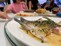 -聚福山莊·寻味顺德(北滘店)