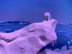 -贝林大翅鲸简餐厅(国家海洋博物馆店)