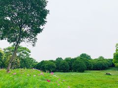 -艾溪湖湿地公园