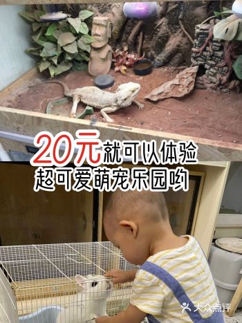 20元就可以体验超可爱萌宠乐园哟