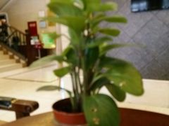 -西西弗书店&矢量咖啡(万象城店)