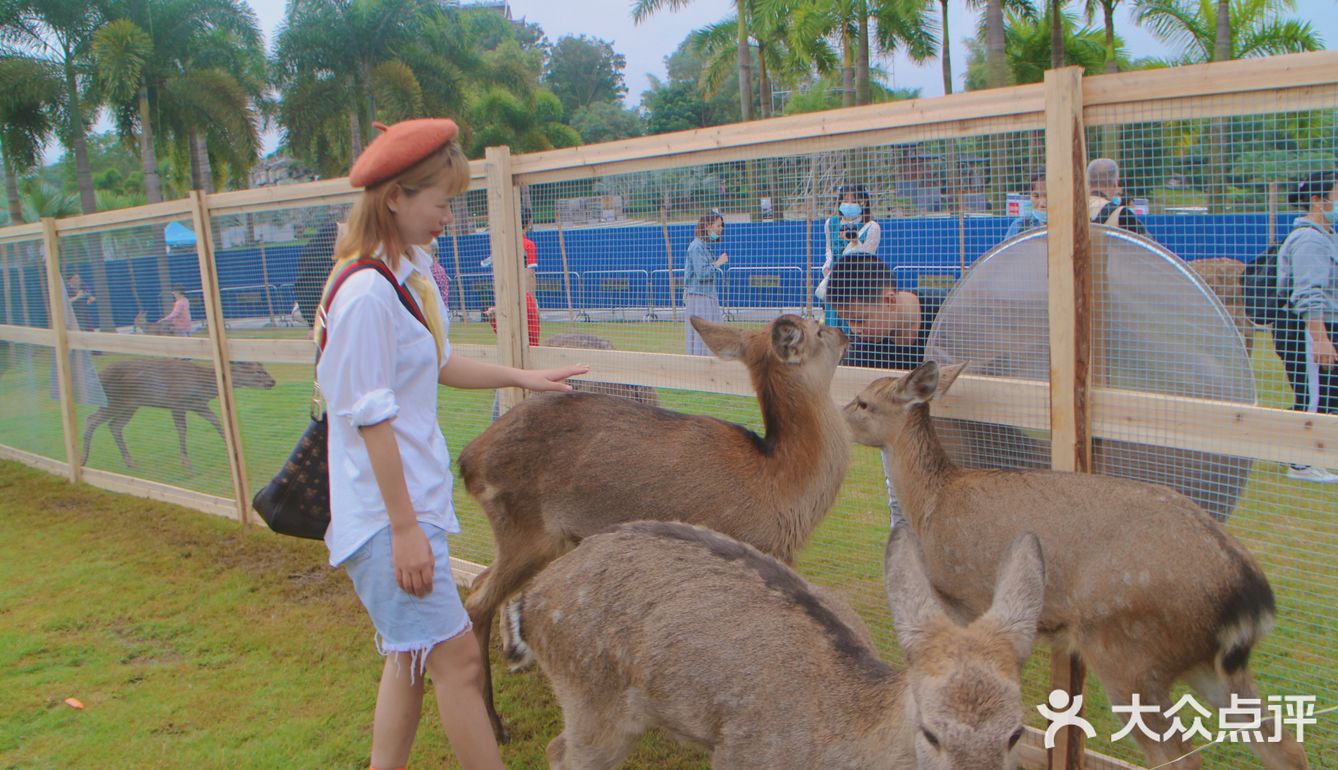 南宁鹿岛公园我来了，凑热闹真的想哭