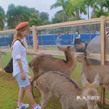 南宁鹿岛公园我来了，凑热闹真的想哭