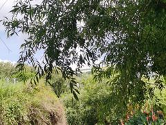 -贵阳市花溪国家城市湿地公园