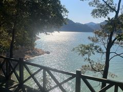 -广州市流溪河国家森林公园