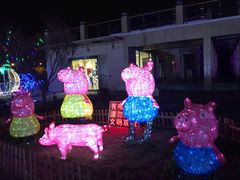 -菊园百果园