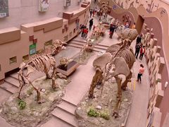 -陕西自然博物馆