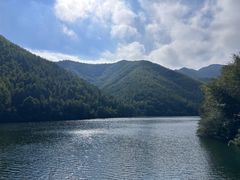 -天乐农家鱼头王(天目湖店)