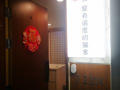 -猫十亿·布偶金渐层·曼基康矮脚猫舍(青年路店)