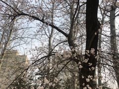 -元大都城垣遗址公园