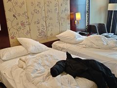 -长沙五一广场长沙站中国城戴斯酒店