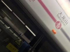 -大龙山(地铁站)