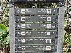-广州市流溪河国家森林公园