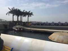 -秦皇岛乐岛海洋王国