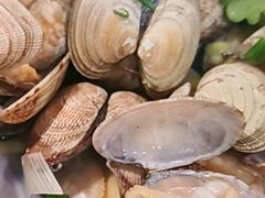 辣炒蛤蜊-郭姐·威海渔村(黄兴路店)