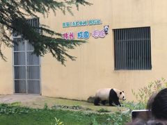 -西安秦岭野生动物园
