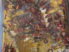 -鱼酷活鱼烤鱼(沈阳大悦城店)