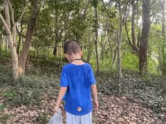 -上海佘山国家森林公园天马山园