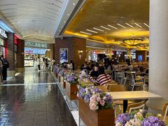 -澳门威尼斯人综合度假区