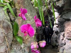 -南通洲际绿博园