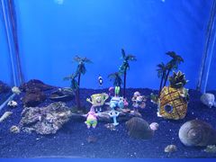 -芜湖新华联大白鲸海洋公园