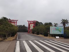 -金孔雀温泉旅游度假村