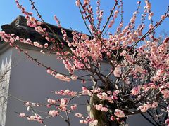 -无锡梅园公园