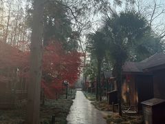 -上海怡沁园度假酒店