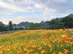 -边城茶峒景区