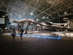 -世界恐龙谷景区