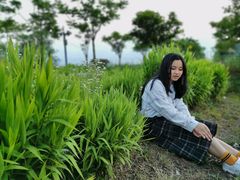 -上海长兴岛郊野公园