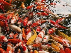 -番禺宾馆丽苑厅