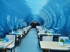 -涛·海底餐厅·美人鱼·自助餐·海底隧道(三亚海棠湾洲际度假酒店)
