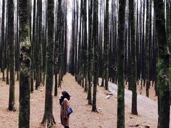 -山王坪喀斯特国家生态公园