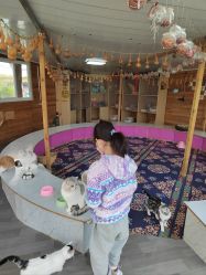 -萌宠亲子动物乐园(槐房万达店)