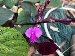 -南京市无想山景区