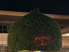 -成都安仁福朋喜来登酒店