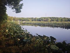 -同里国家湿地公园