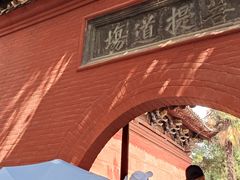 -洛阳白马寺