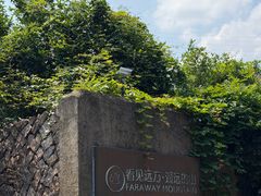 -看见远方·莫干遥远的山民宿