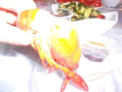 蒸虾-可可大虾武汉土菜大排档(万松园1店)