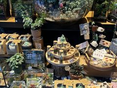 -Sirena海妖日咖夜酒