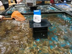 水产区-盒马鲜生(皇庭广场店)