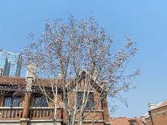 -天津五大道文化旅游区