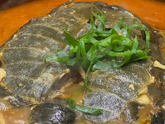 -丁老爷子苏香圆