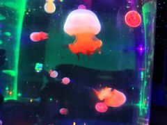 -锦艺城海洋馆