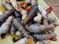 -贞姨美食·老字号海鲜大排档