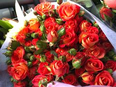 -三圣花乡旅游区