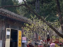 -潭柘寺景区