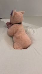 -西瓜庄园儿童摄影